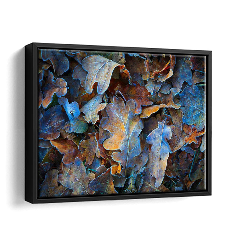 Frozen Oak Leafs  Framed Canvas Wall Art - Canvas Prints, Painting Canvas, For Sale