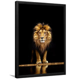 Golden Lion Framed Art Prints Wall Decor - Art Prints, Framed Picture,For Sale, Ready to hang