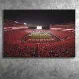 Georgia Bulldogs Stadium Canvas Prints Stadium Sanford Stadium Wall Art American,Sport Stadium Art Prints, Fan Gift, Wall Decor