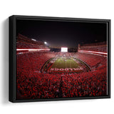 Georgia Bulldogs Stadium Framed Canvas Prints Stadium Sanford Stadium Wall Art American,Sport Stadium Art Prints, Fan Gift