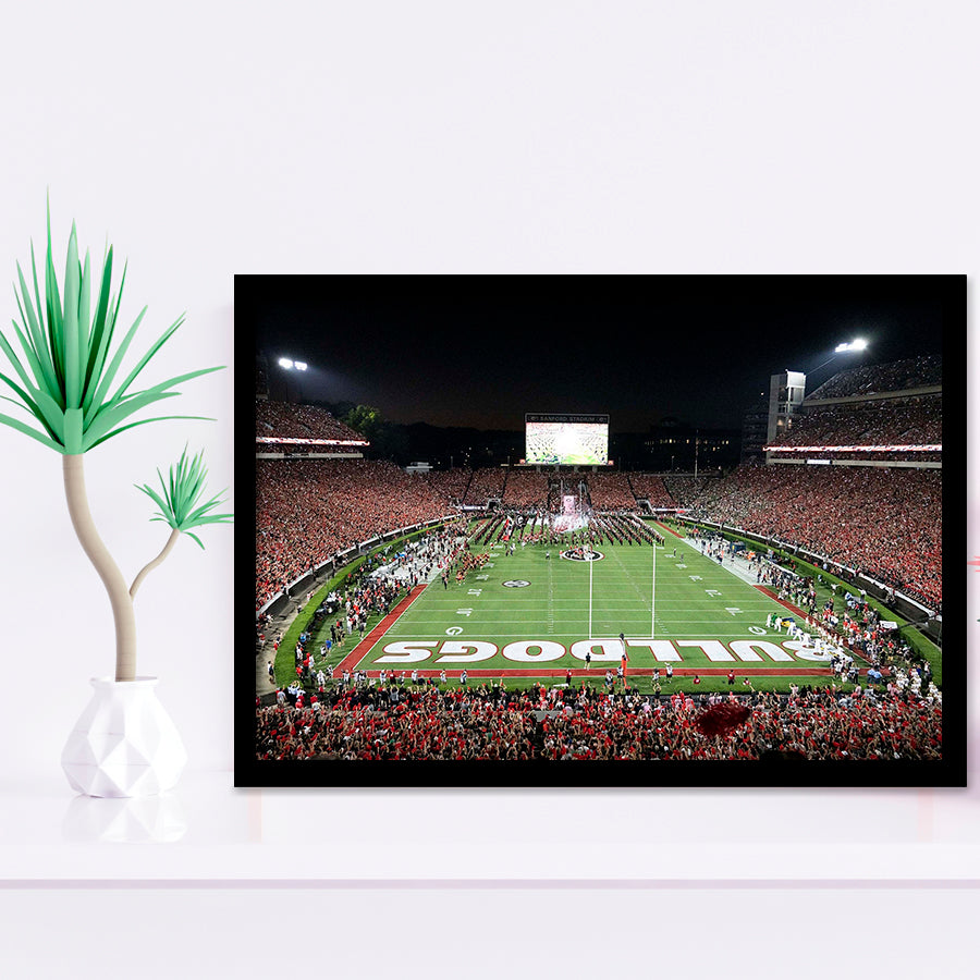 Georgia Bulldogs Stadium Art Prints Sanford Stadium Wall Art American,Sport Stadium Art Prints, Fan Gift, Wall Decor