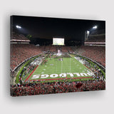 Georgia Bulldogs Stadium Canvas Prints Sanford Stadium Wall Art American,Sport Stadium Art Prints, Fan Gift, Wall Decor