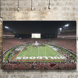 Georgia Bulldogs Stadium Canvas Prints Sanford Stadium Wall Art American,Sport Stadium Art Prints, Fan Gift, Wall Decor