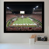 Georgia Bulldogs Stadium Art Prints Sanford Stadium Wall Art American,Sport Stadium Art Prints, Fan Gift, Wall Decor