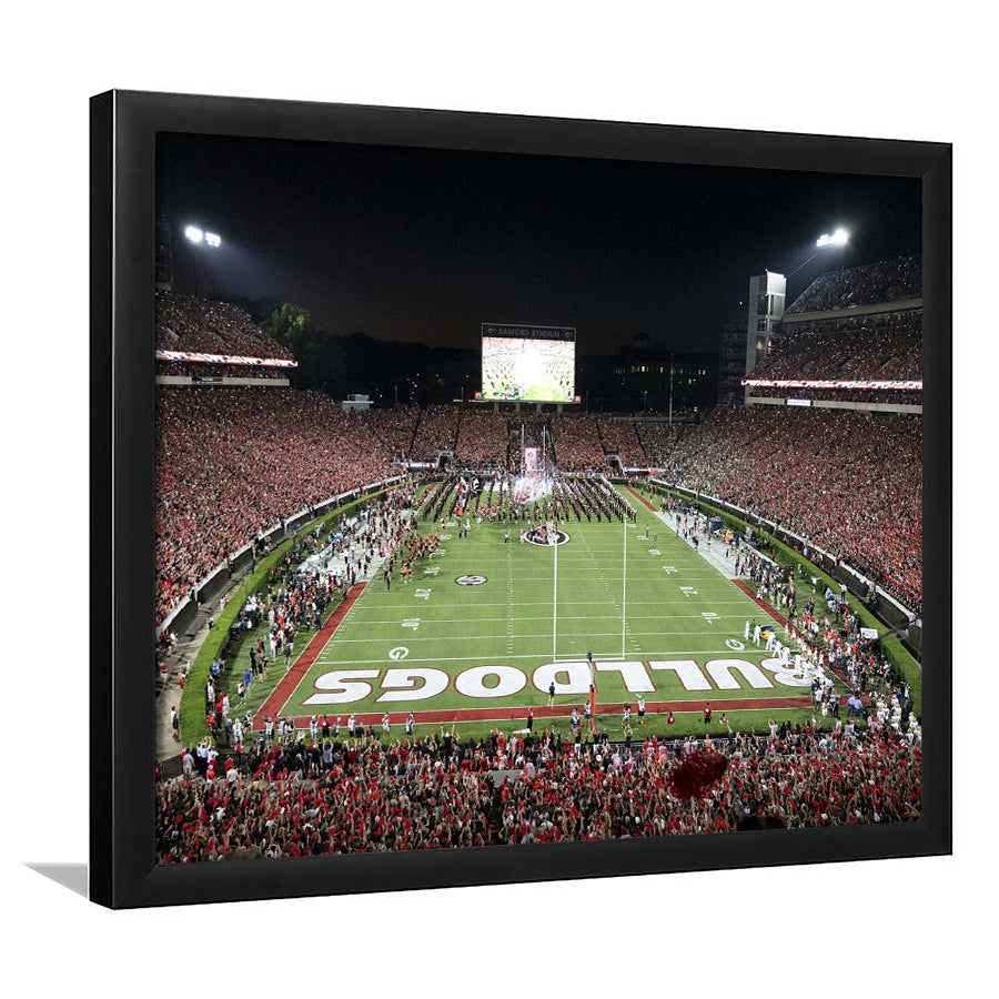 Georgia Bulldogs Stadium Art Prints Sanford Stadium Wall Art American,Sport Stadium Art Prints, Fan Gift, Wall Decor