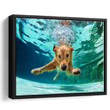 Golden Labrador Retriever Framed Canvas Prints Wall Art - Painting Prints, Wall Decor, Floating Frame