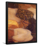 Goldfish By Gustav Klimt-Art Print,Frame Art,Plexiglass Cover