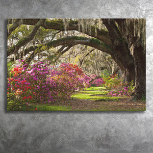 Gorgeous Summer Garden Under The Tree Canvas Prints Wall Art, Home Living Room Decor, Large Canvas