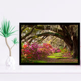Gorgeous Summer Garden Under The Tree Framed Art Prints Wall Decor, Framed Picture, Large Art Prints
