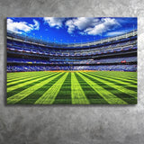 Grass Yankee Stadium, Stadium Canvas, Sport Art, Gift for him, Fan Gift, Canvas Prints Wall Art Decor