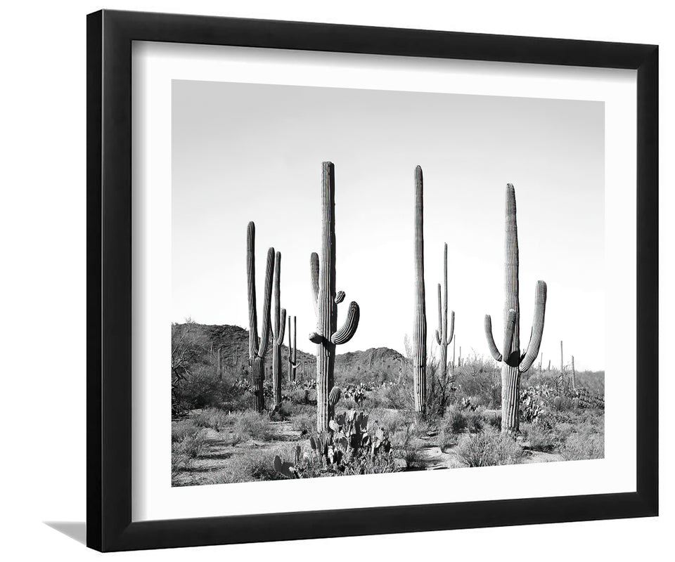 Gray Cactus Land-Black and white art, Art print,Plexiglass Cover