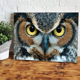 Great Owl Eye Canvas Wall Art - Canvas Prints, Prints For Sale, Painting Canvas,Canvas On Sale 