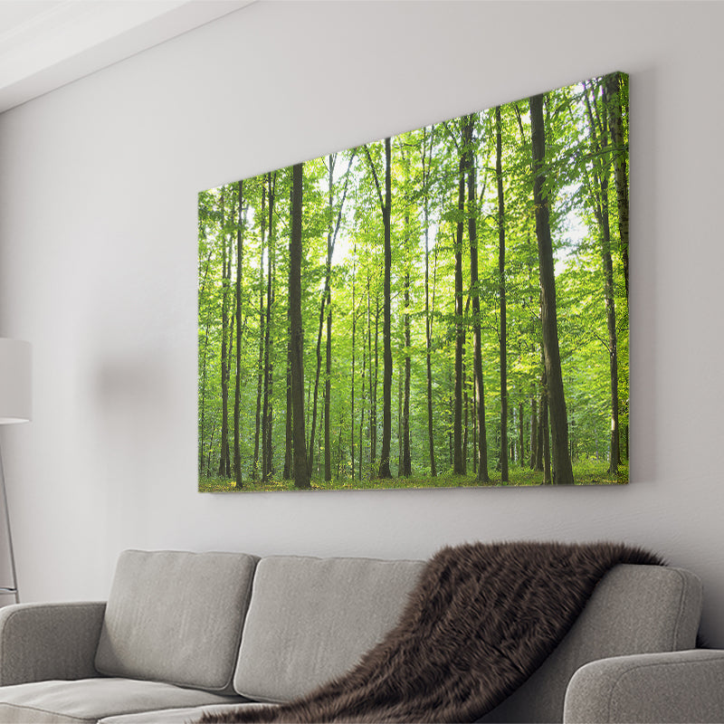 Green Forest Canvas Wall Art - Canvas Prints, Prints For Sale, Painting Canvas,Canvas On Sale 