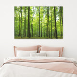 Green Forest Canvas Wall Art - Canvas Prints, Prints For Sale, Painting Canvas,Canvas On Sale 
