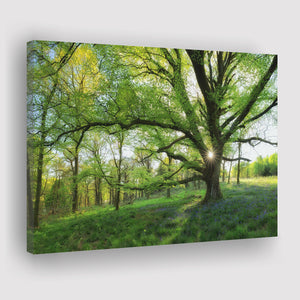 Green Trees Forest Canvas Prints Wall Art - Painting Canvas, Art Prints, Wall Decor, Home Decor, Prints for Sale