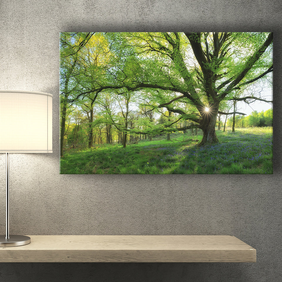 Green Trees Forest Canvas Prints Wall Art - Painting Canvas, Art Prints, Wall Decor, Home Decor, Prints for Sale