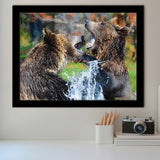 Grizzly Bears Playing in Water Framed Art Prints Wall Decor - Painting Prints, Framed Picture, Home Decor
