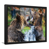Grizzly Bears Playing in Water Framed Art Prints Wall Decor - Painting Prints, Framed Picture, Home Decor