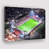 Hanazono Rugby Stadium, Stadium Canvas, Sport Art, Gift for him, Fan Gift, Canvas Prints Wall Art Decor