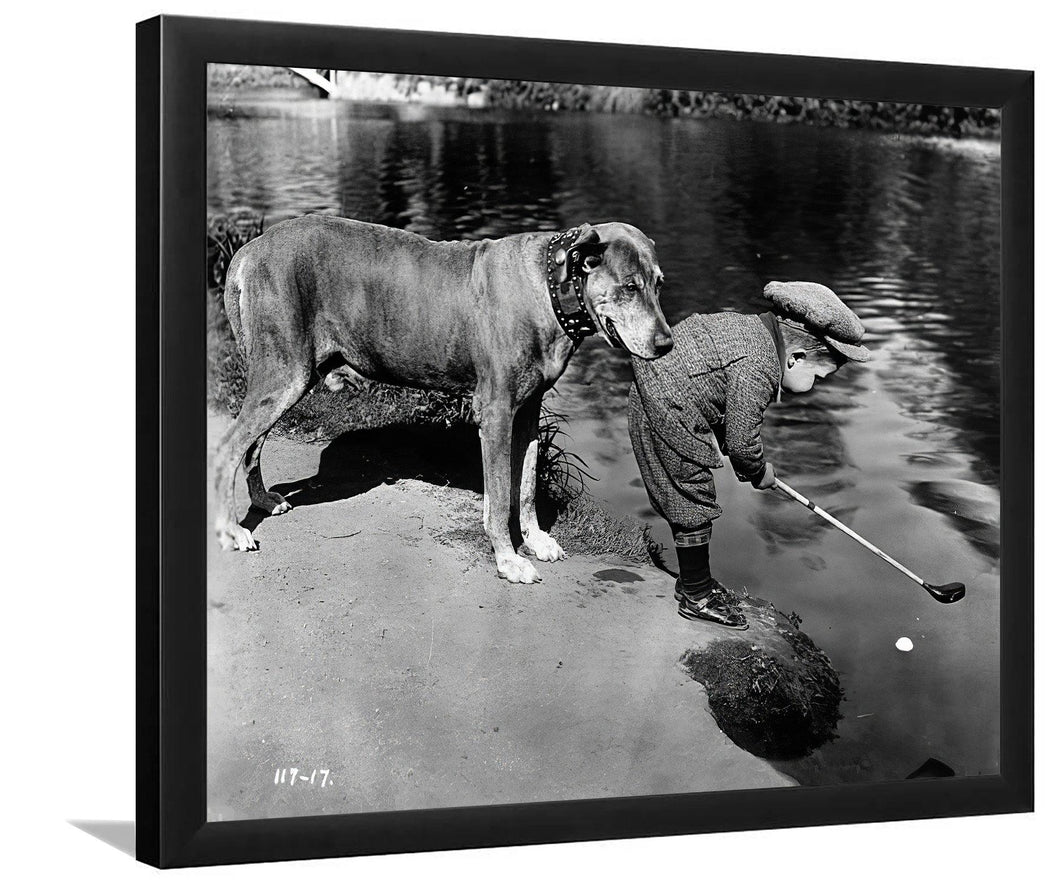 Helpful dog-Golf-Sport Art, Art Print, Frame Art,Plexiglass Cover