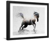 Hest I-Black and white art, Art print,Plexiglass Cover
