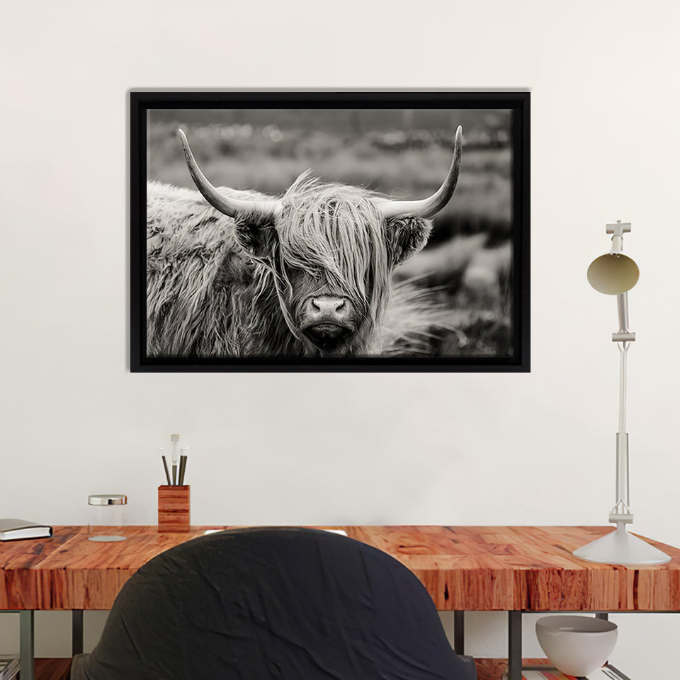 Highland Cow BW Canvas Wall Art - Framed Art, Prints For Sale, Painting For Sale, Framed Canvas, Painting Canvas
