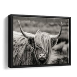 Highland Cow BW Canvas Wall Art - Framed Art, Prints For Sale, Painting For Sale, Framed Canvas, Painting Canvas