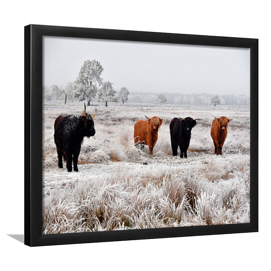 Highland Cow Farm Animal Scottish Cow Framed Art Prints Wall Decor - Painting Art,Framed Picture,For Sale, Ready to hang