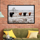 Highland Cow Farm Animal Scottish Cow Framed Art Prints Wall Decor - Painting Art,Framed Picture,For Sale, Ready to hang