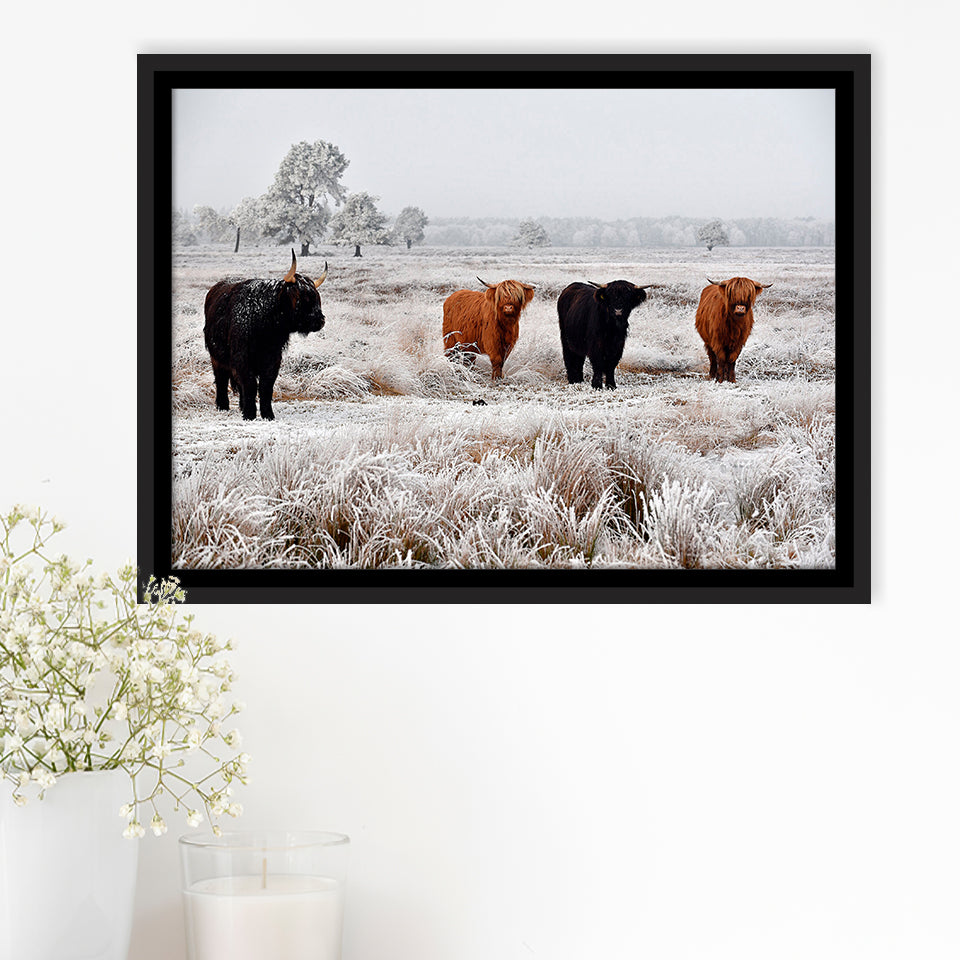 Highland Cow Farm Animal Scottish Cow Framed Canvas Prints Wall Art Home Decor - Painting Canvas, Black Frame, Framed Picture