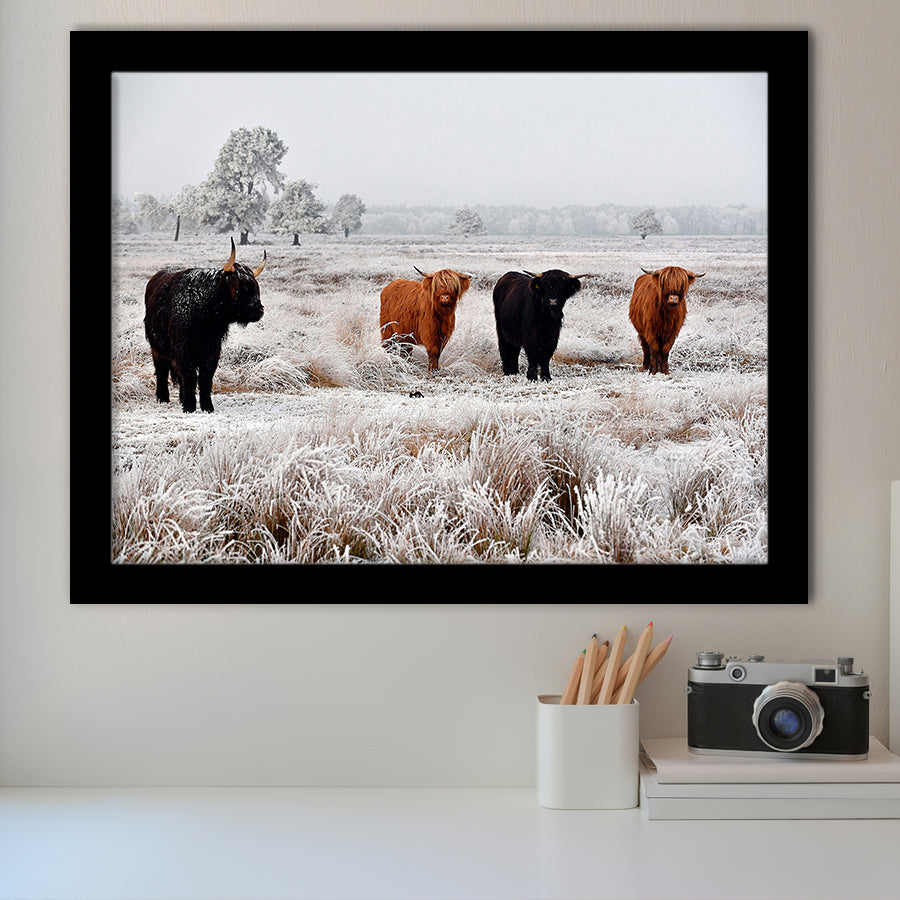 Highland Cow Farm Animal Scottish Cow Framed Art Prints Wall Decor - Painting Art,Framed Picture,For Sale, Ready to hang