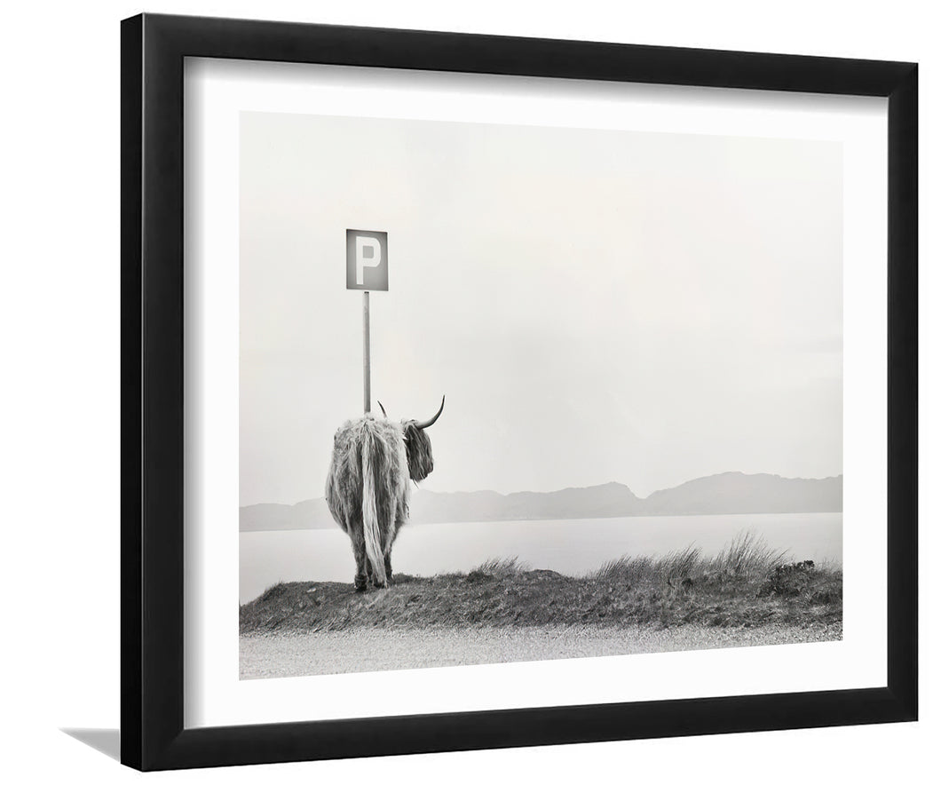 Highland Visitor-Black and white art, Art print,Plexiglass Cover