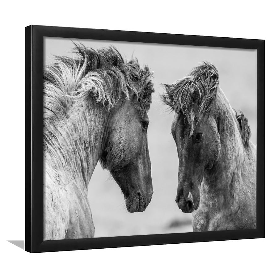 Horse Black White Horse Black And Framed Art Prints Wall Decor - Painting Art,Framed Picture,For Sale, Ready to hang