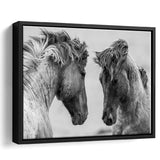 Horse Black White Horse Framed Canvas Prints Wall Art Decor, Framed Picture, Floating Frame