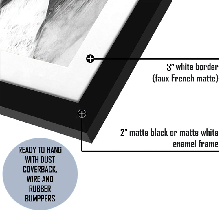 Horse Love-Black and white art, Art print,Plexiglass Cover