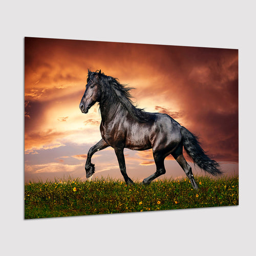 Horse Wall Art Poster Prints Wall Art Decor, Unframe, Poster Art