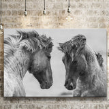 Horses Black and White Canvas Prints Wall Art Decor - Paiting Canvas, Art Prints, Wall Decor, For Sale