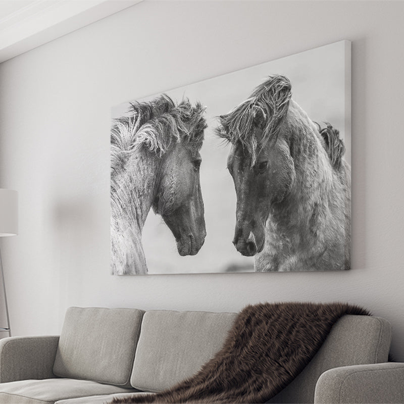 Horses Black and White Canvas Prints Wall Art Decor - Paiting Canvas, Art Prints, Wall Decor, For Sale