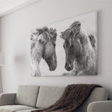 Horses Black and White Canvas Prints Wall Art Decor - Paiting Canvas, Art Prints, Wall Decor, For Sale