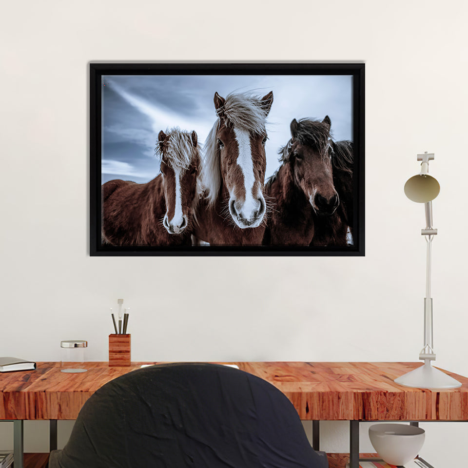 Horses Wondering Around In Iceland Framed Canvas Wall Art - Framed Prints, Canvas Prints, Prints for Sale, Canvas Painting