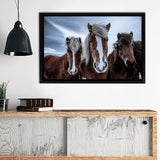 Horses Wondering Around In Iceland Framed Canvas Wall Art - Framed Prints, Canvas Prints, Prints for Sale, Canvas Painting