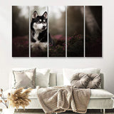 Husky Dog 5 Pieces B Canvas Prints Wall Art - Painting Canvas, Multi Panels,5 Panel, Wall Decor