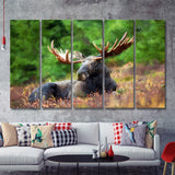 Image of Large Elk in the Wild Huge Elk on a Forest Lawn 5 Piece B Canvas Prints Wall Art Decor - Painting Canvas, Multi Panels