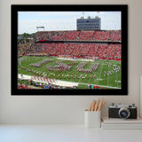 Iowa State Cyclones Stadium Art Prints Jack Trice Stadium Wall,Sport Stadium Art Prints, Fan Gift, Wall Decor