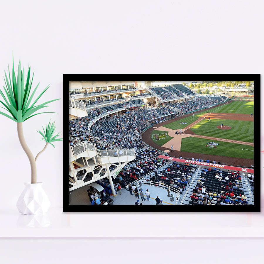 Isotopes Park in Mexico, Stadium Canvas, Sport Art, Gift for him, Framed Art Prints Wall Art Decor, Framed Picture