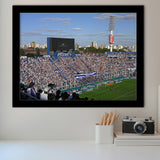 Jose Amalfitani in Argentina, Stadium Canvas, Sport Art, Gift for him, Framed Art Prints Wall Art Decor, Framed Picture
