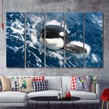 Killer Whale Closer Up In Ocean 5 Pieces B Canvas Prints Wall Art - Painting Canvas, Multi Panel, Wall Decor, Canvas Art