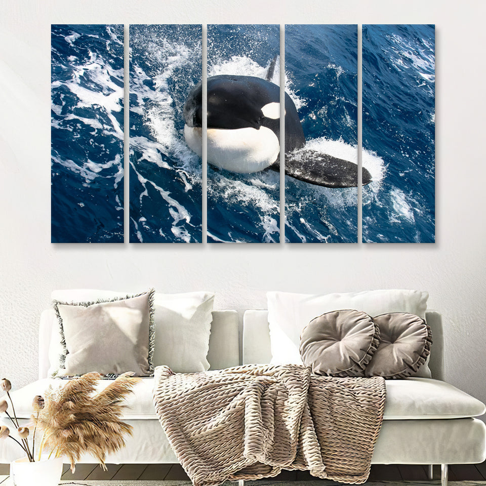 Killer Whale Closer Up In Ocean 5 Pieces B Canvas Prints Wall Art - Painting Canvas, Multi Panel, Wall Decor, Canvas Art