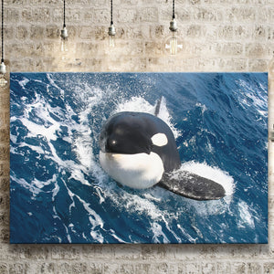 Killer Whale Closer Up In Ocean Canvas Prints Wall Art - Painting Canvas, Wall Decor, Canvas Art, For Sale