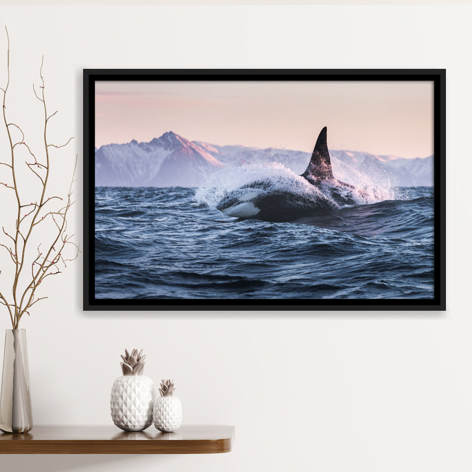Killer Whale Sunset Dangerous Animal Framed Canvas Prints Wall Art - Painting Canvas, Wall Decor, Canvas Art, Floating Frame